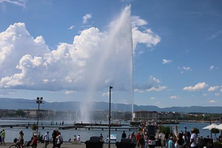 IMG_1249