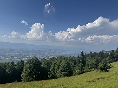 IMG_0751