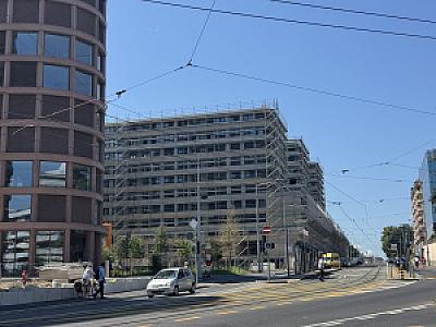 IMG_0851