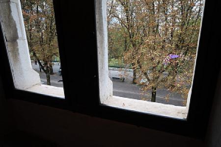 IMG_1355