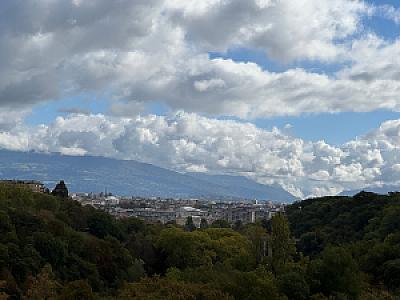 IMG_2950