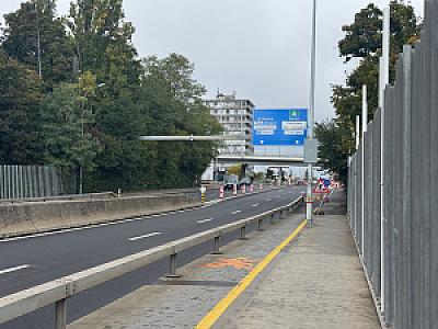 IMG_2951