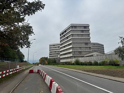 IMG_3029