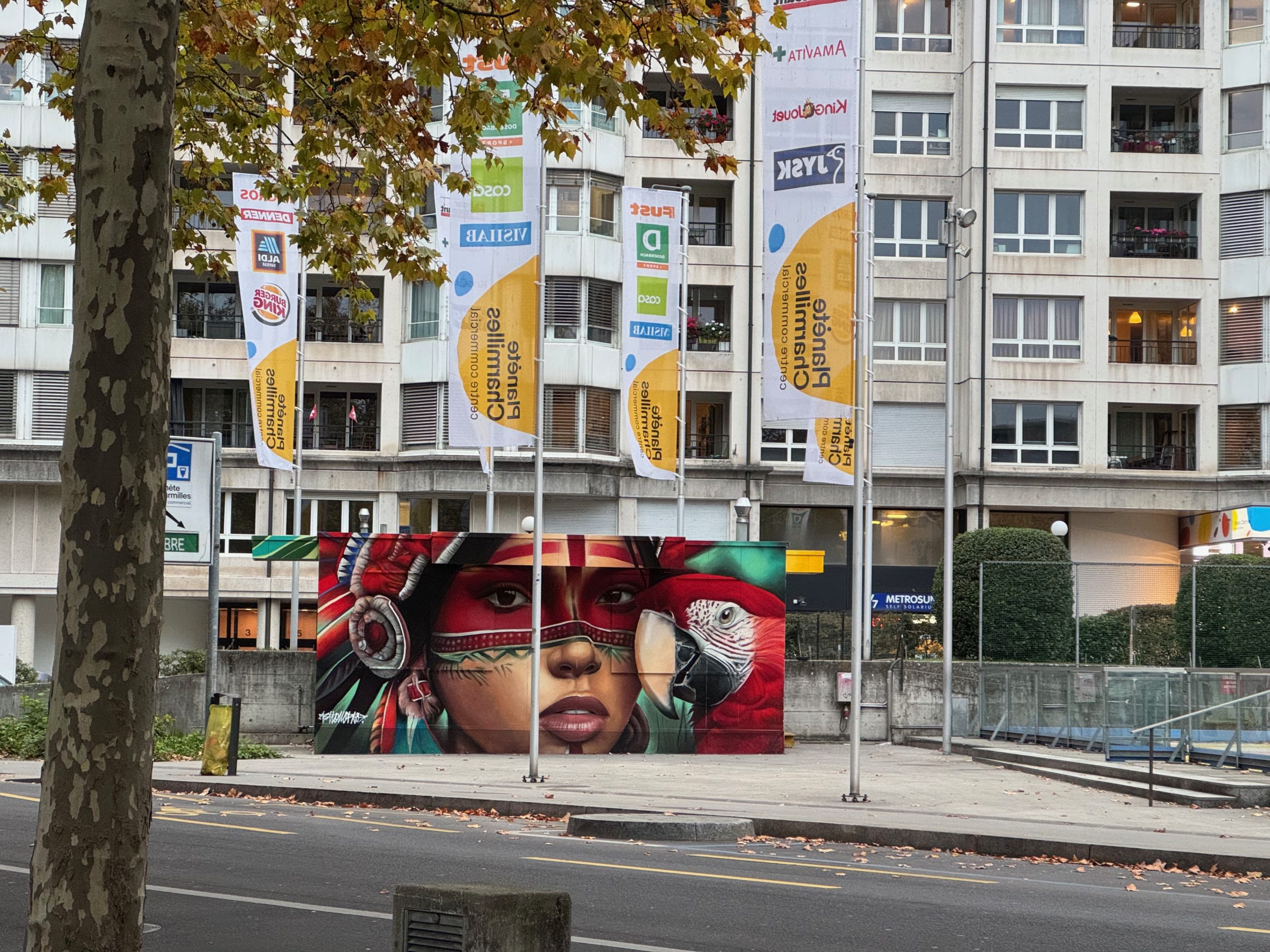 IMG_3063