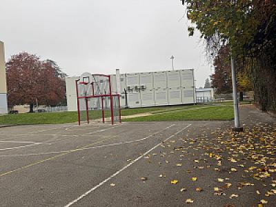 IMG_3444
