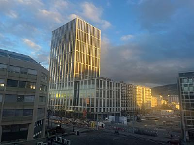 IMG_3505