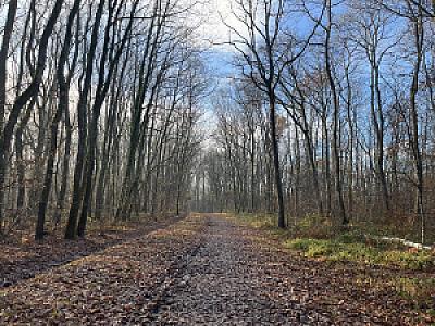 IMG_3637