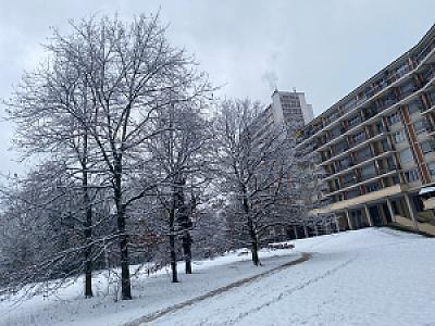 2021-01-17_08-46-28