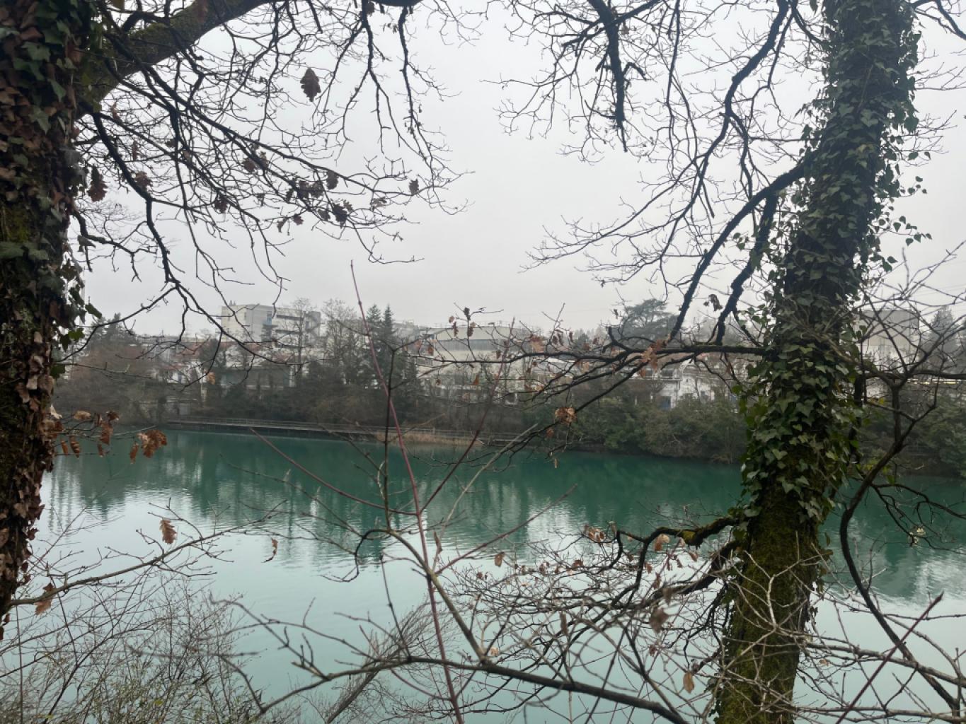 Givaudan