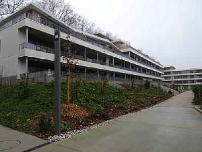 2025-12-20_16-31-50