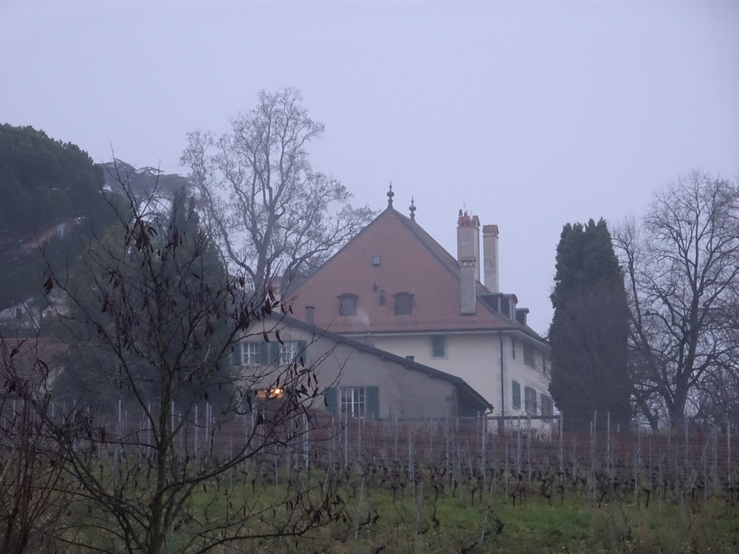 Route de Champvigny 29