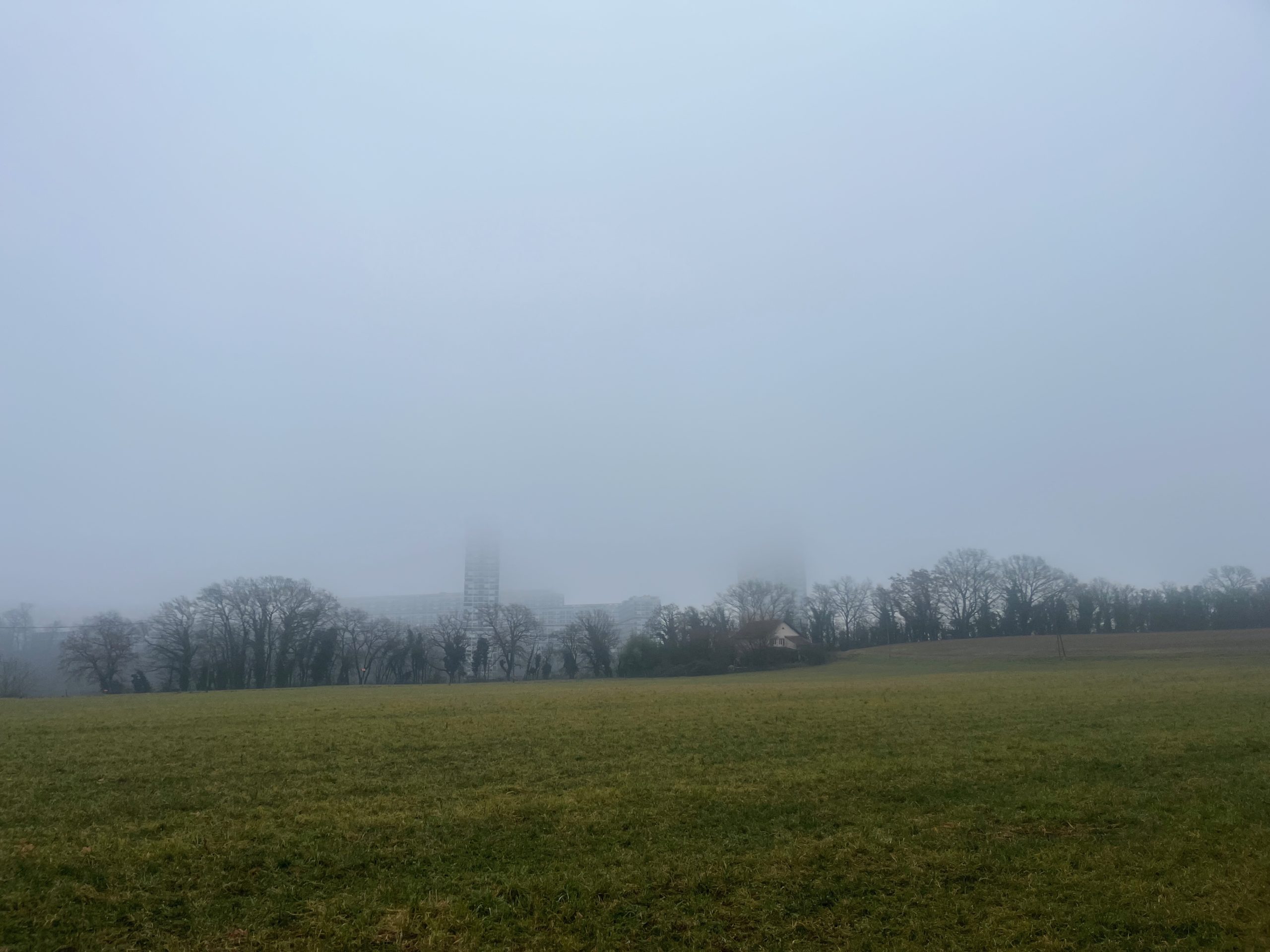 2026-01-17_09-35-22