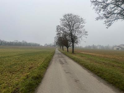 2026-01-17_09-35-24