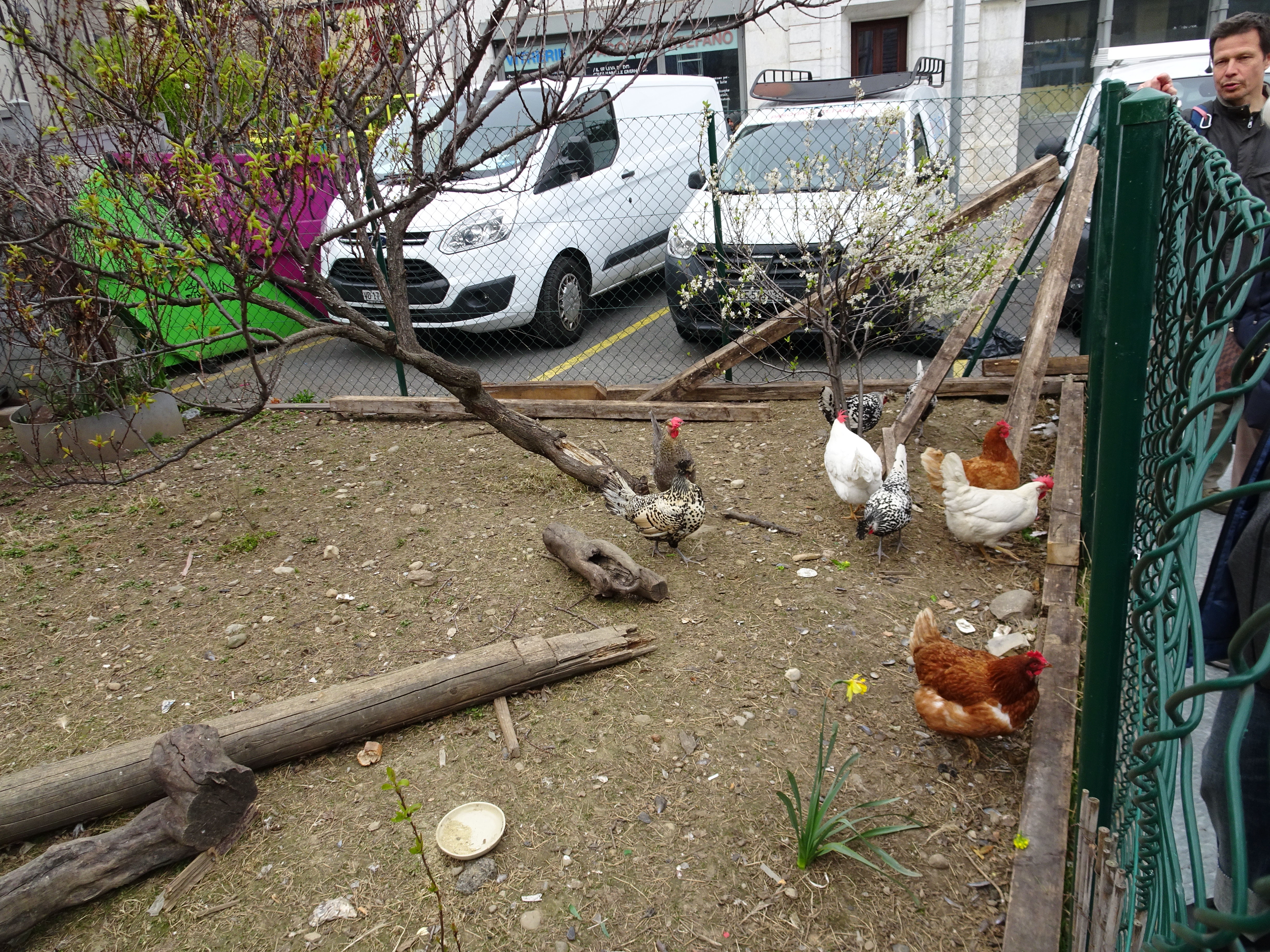 Rue de la Faucille 2-8