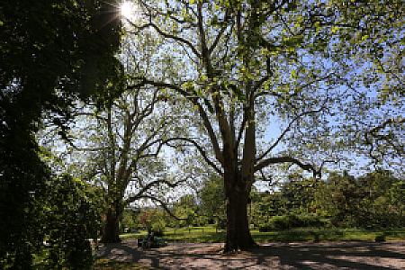 2019-05-26_10-29-06