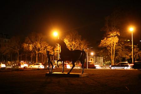 L'adolescent et le Cheval