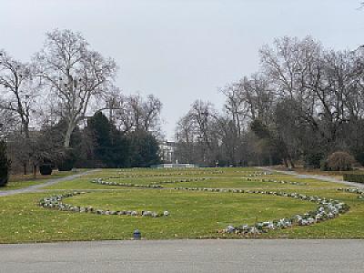 2020-01-25_13-55-53