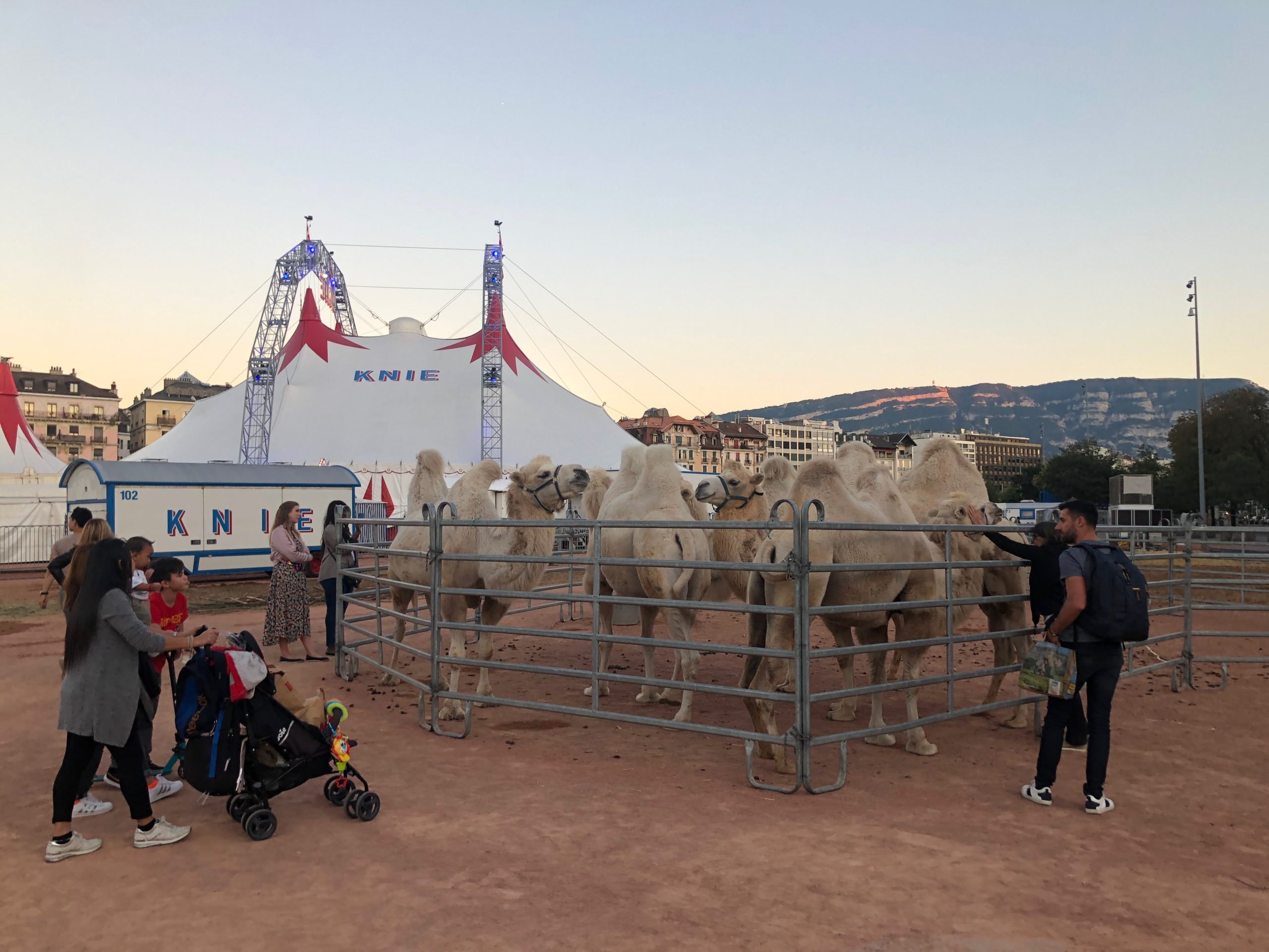 2019-09-12_19-48-11