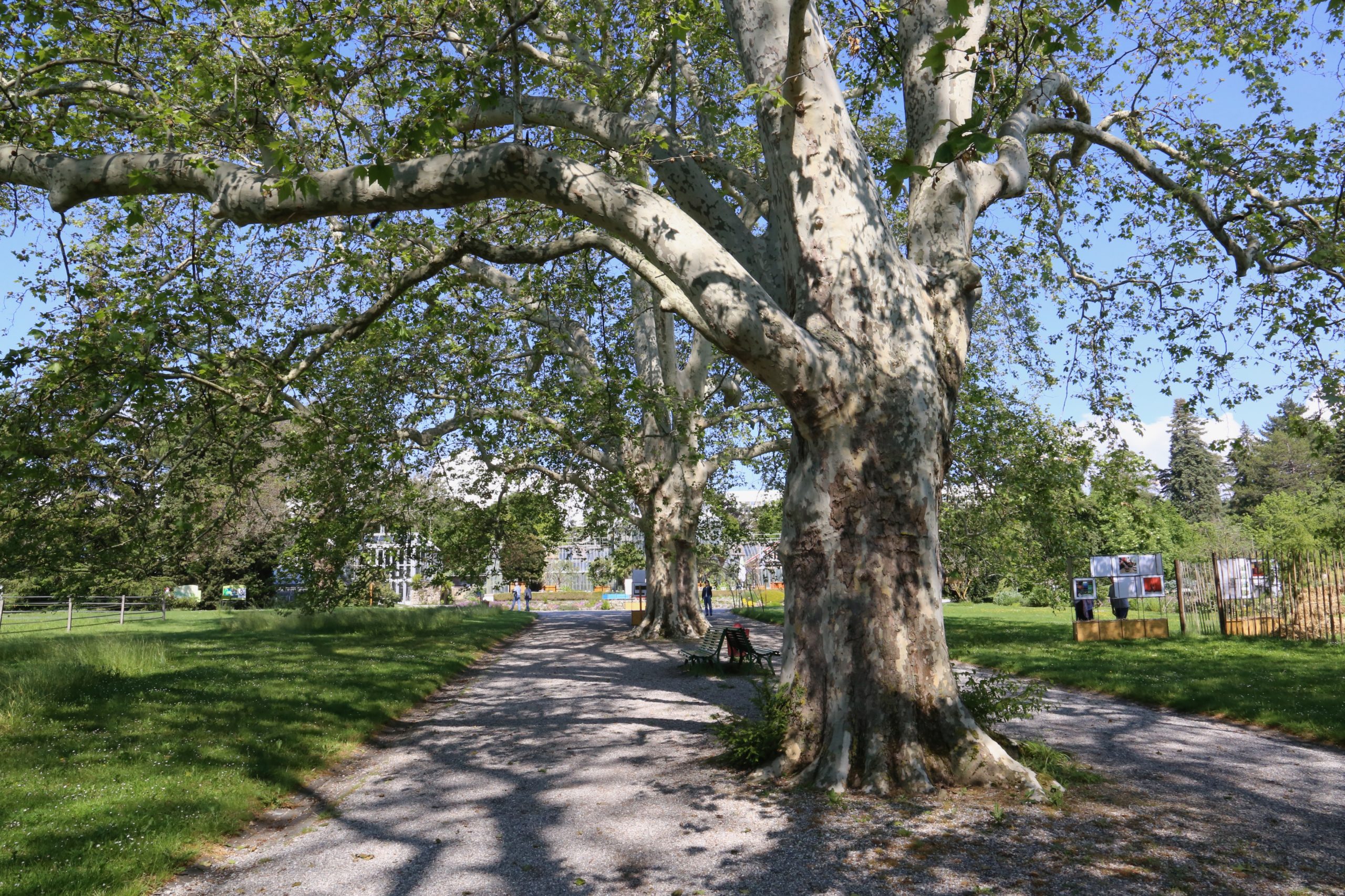2019-05-26_09-38-34