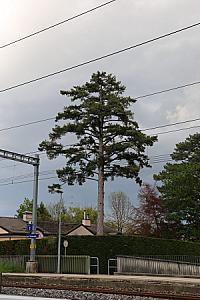 2019-04-27_18-01-47