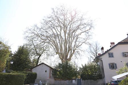 2019-04-14_13-25-32