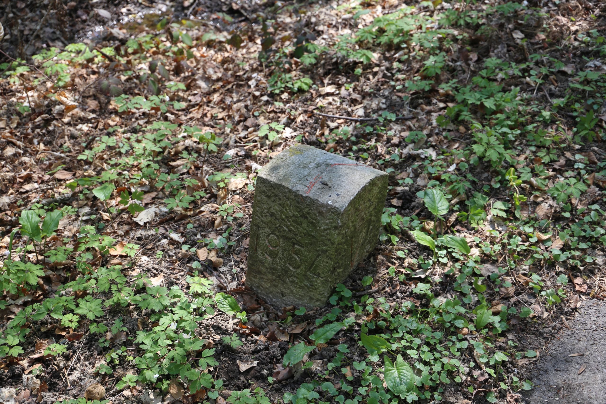 Domaine de la Petite Coudre