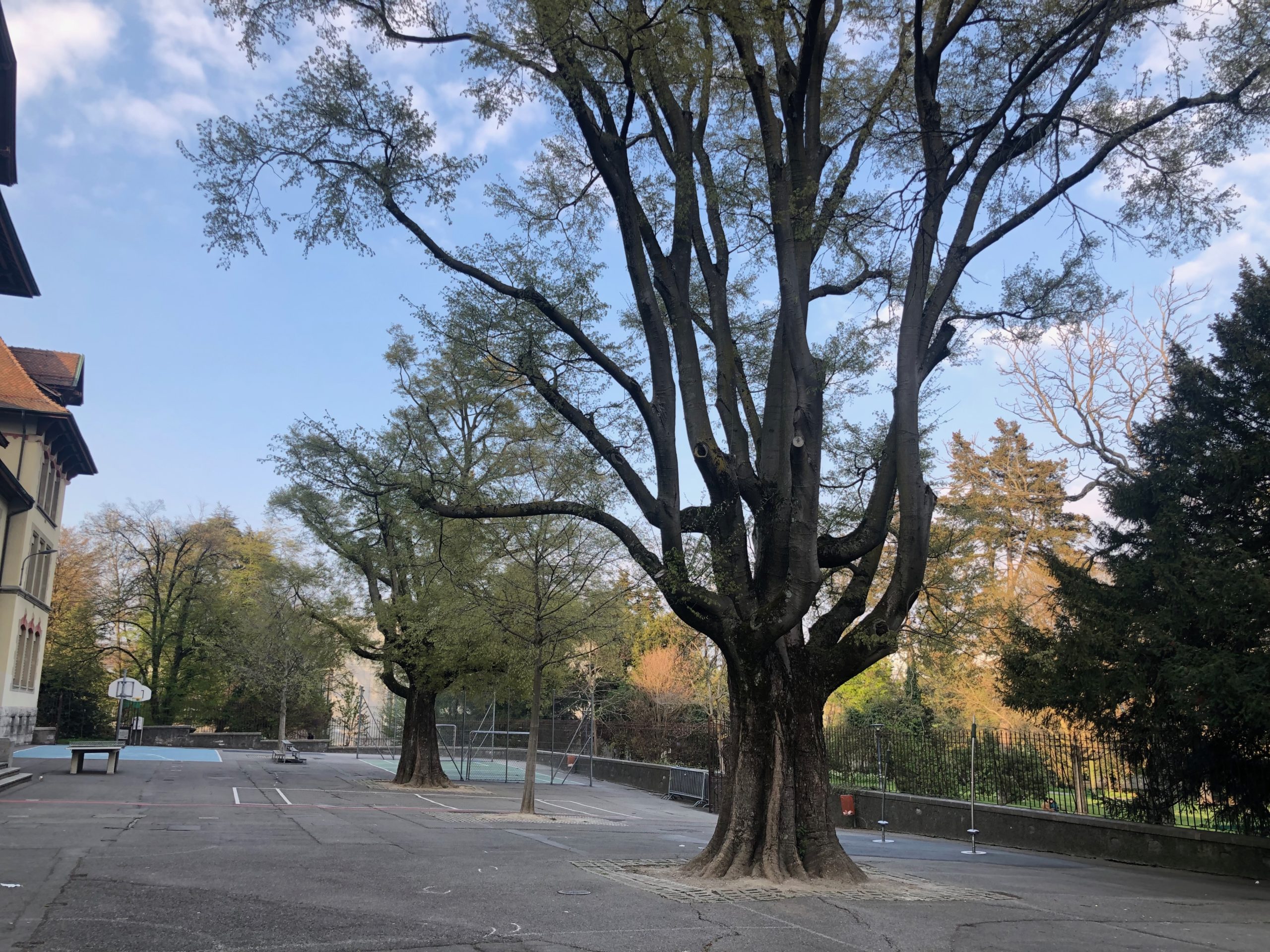 2019-04-13_18-44-42