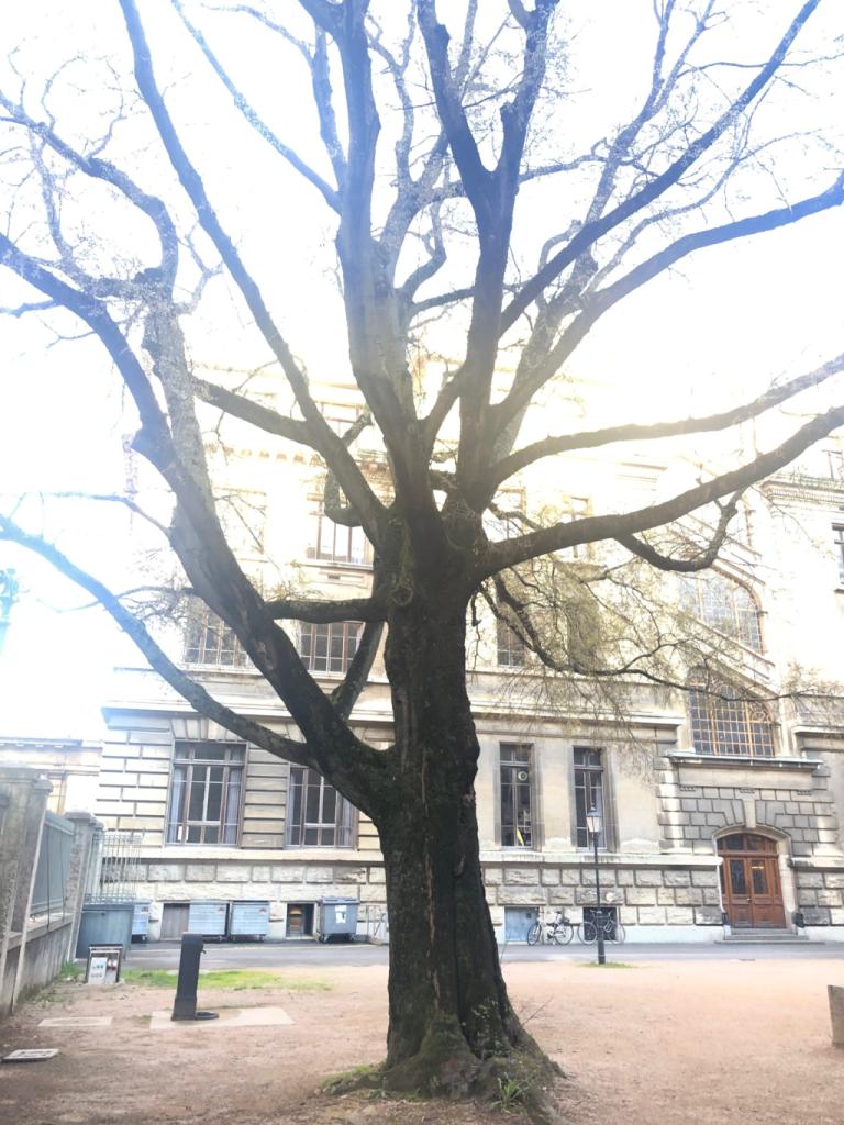Ecole des Beaux-Arts