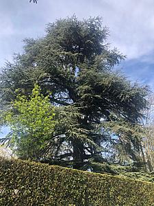 2019-04-05_17-31-45