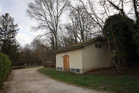 2025-03-08_08-19-49