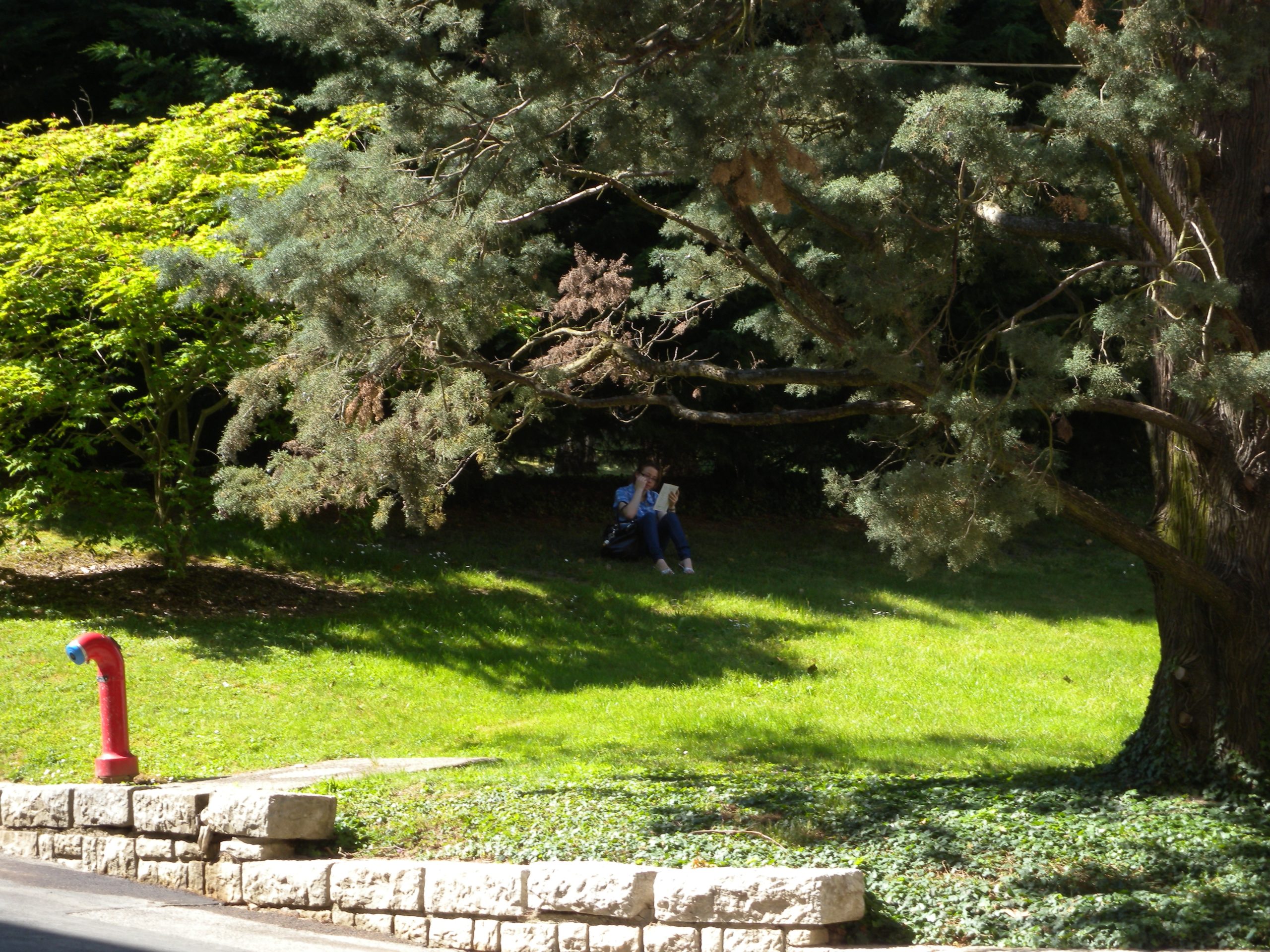 2010-06-05_15-20-19