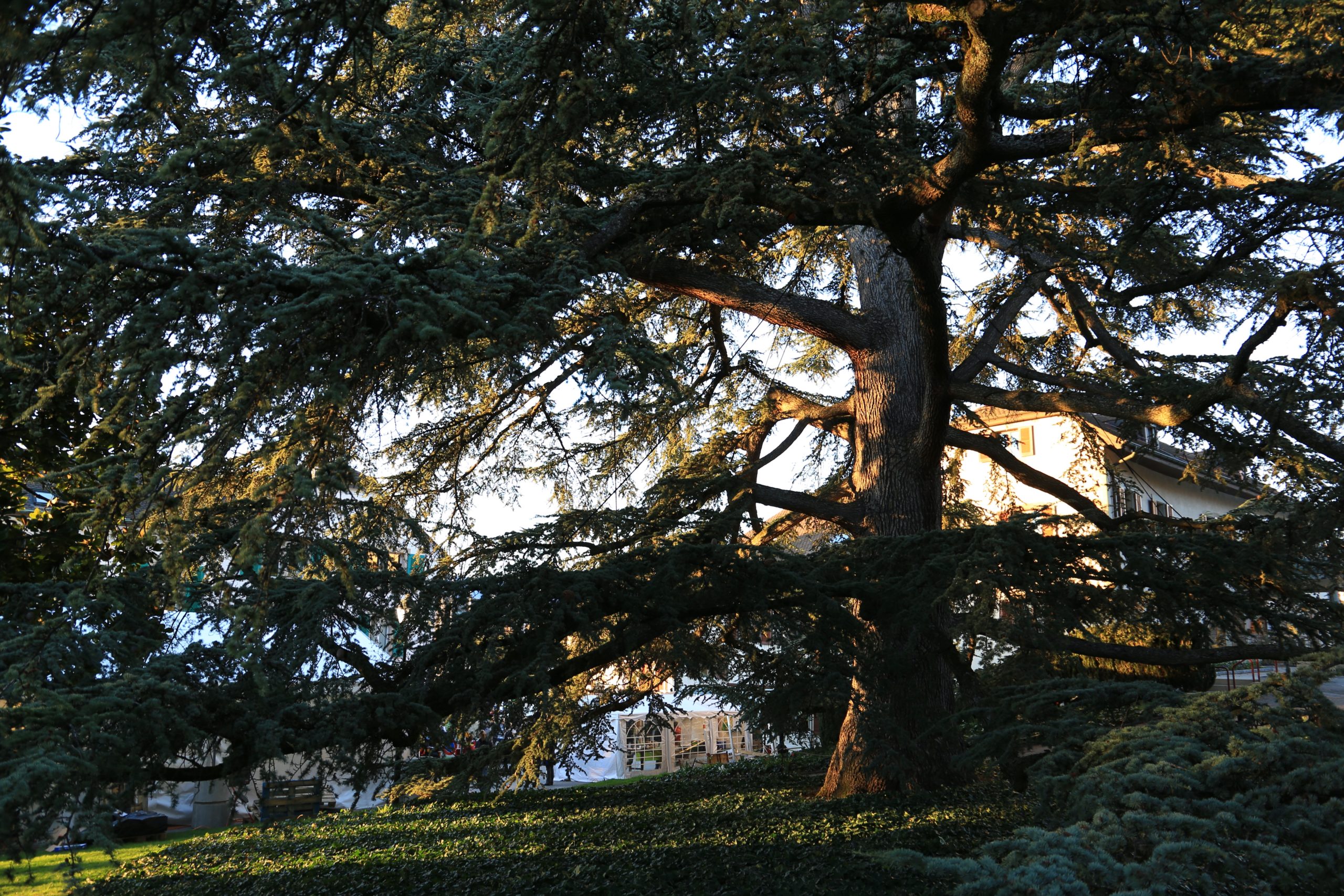 Parc des Délices (Grand-Saconnex)