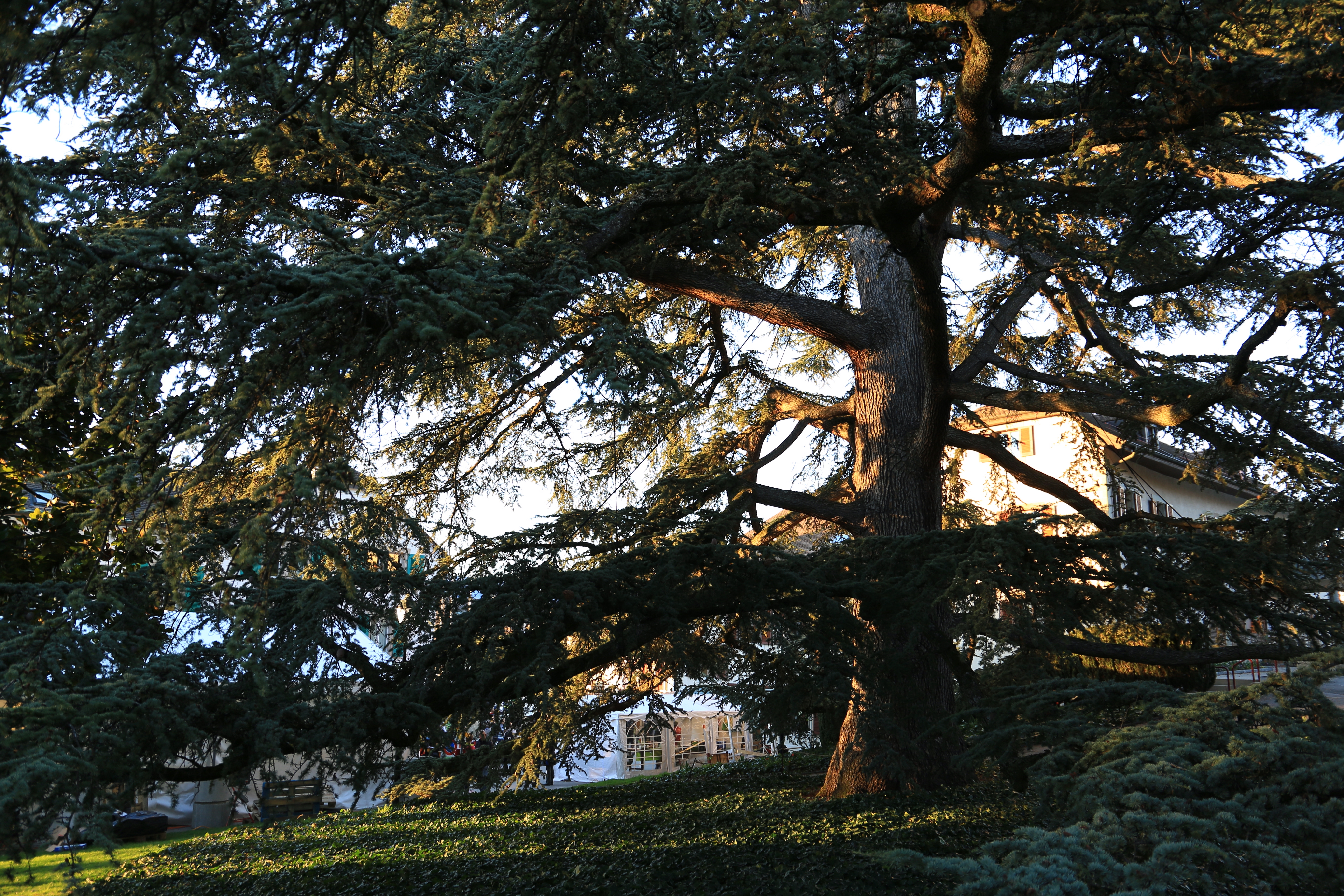 Parc des Délices (Grand-Saconnex)
