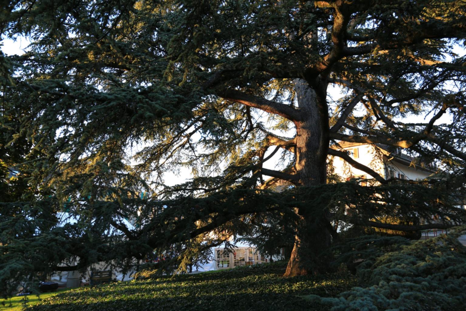 Parc des Délices (Grand-Saconnex)