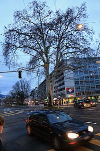 2019-03-02_18-28-06