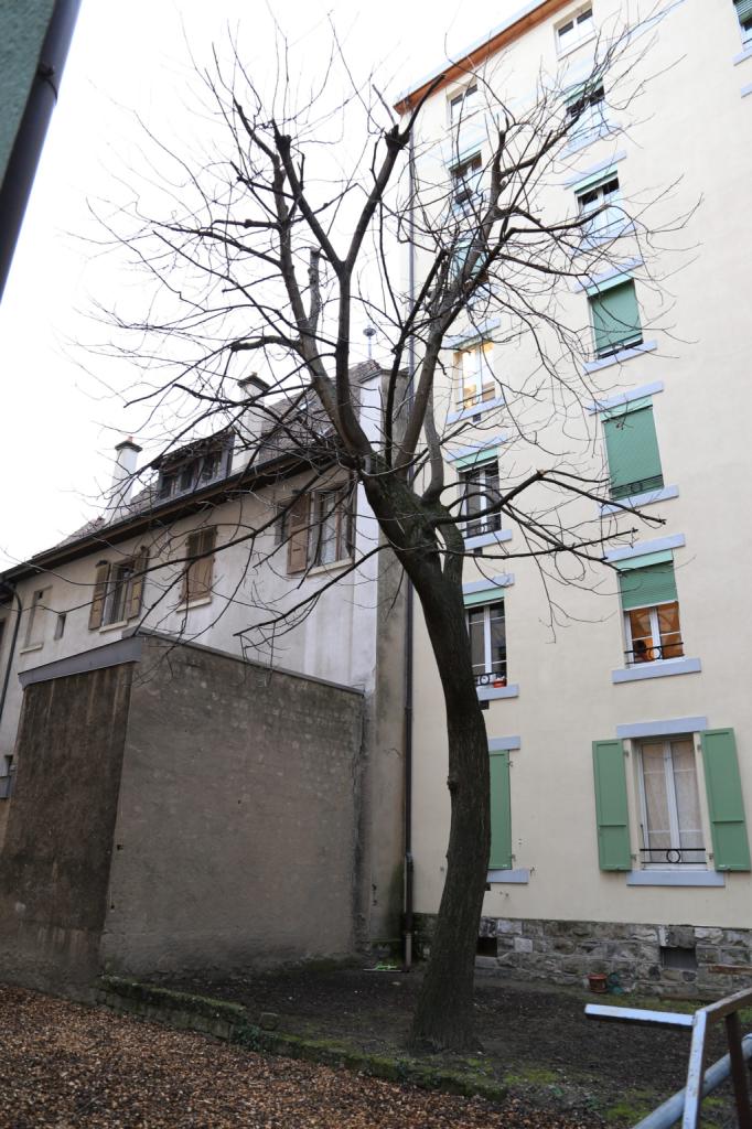 Rue des Plantaporrêts 6