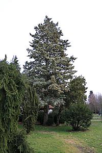 2019-03-02_16-45-02