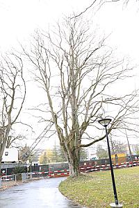 2019-03-02_14-01-59