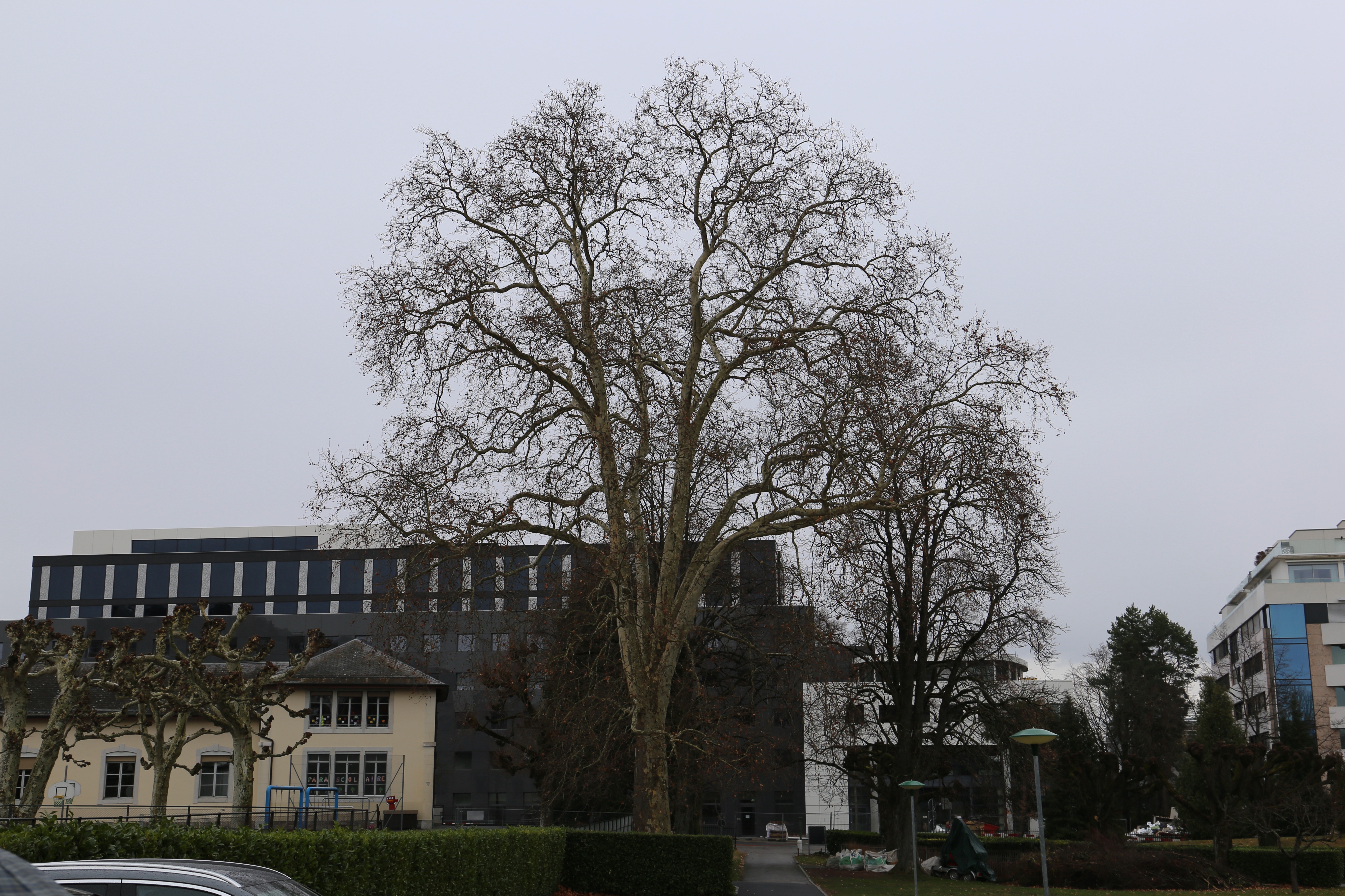2019-03-02_13-52-22