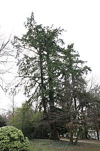 2019-03-02_12-00-56
