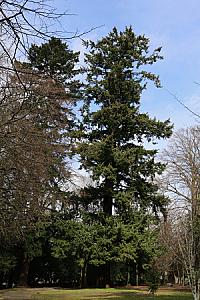 2019-03-02_11-59-31