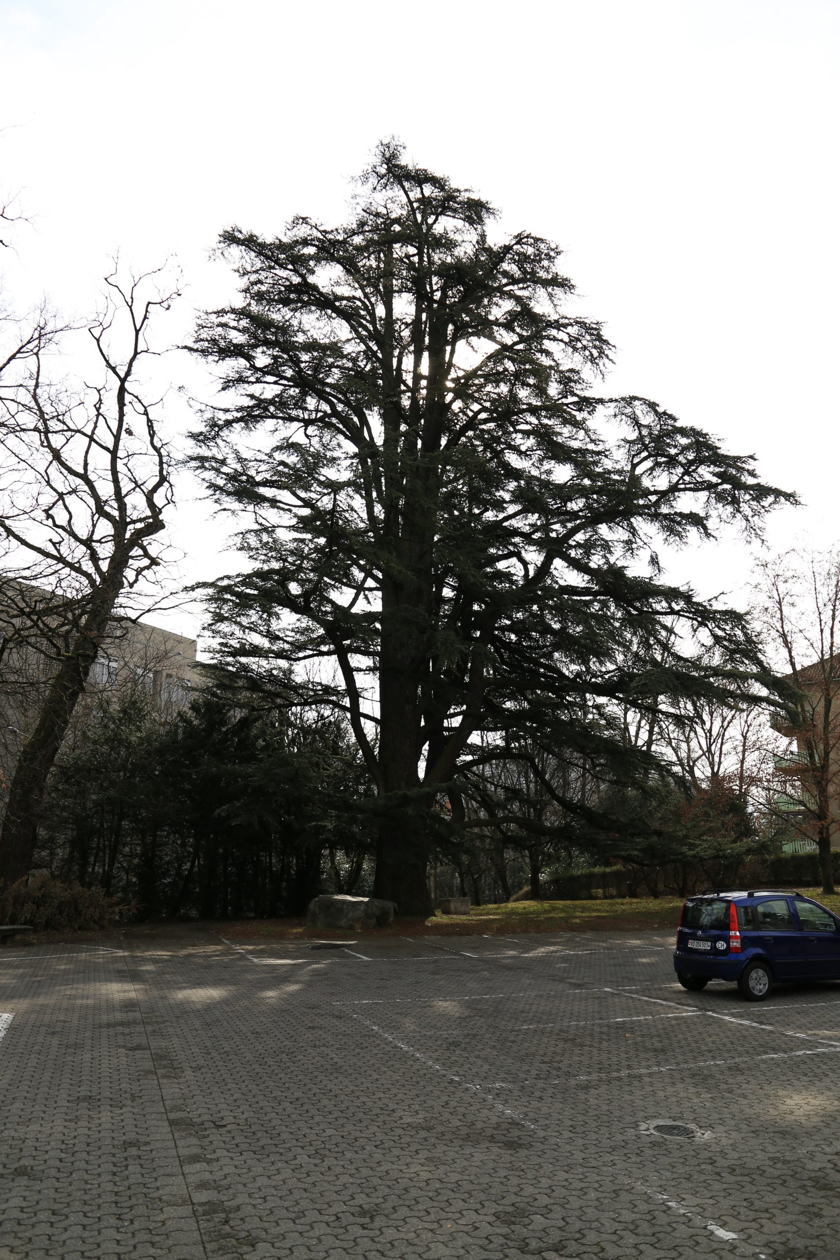 2019-03-02_11-04-59