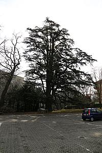 2019-03-02_11-04-59