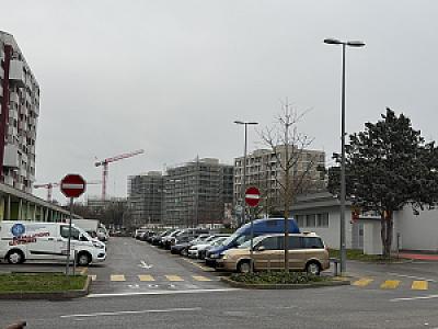 IMG_8113