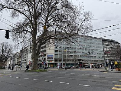 IMG_8360
