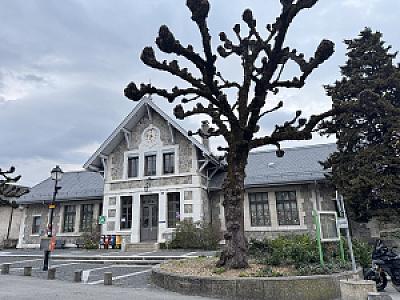 Ecole Primaire de Vernier