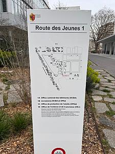 IMG_8461