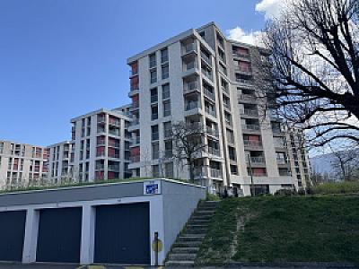 IMG_8635