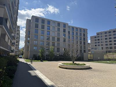IMG_8622