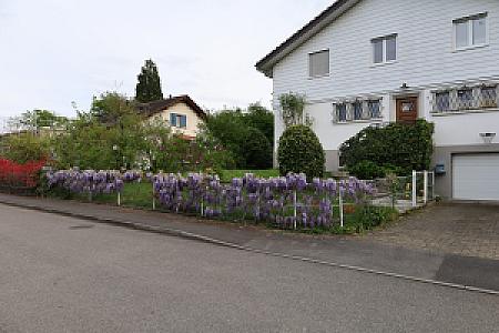 Chemin VANDEL 9